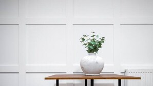 Una mesa con un jarrón blanco y una planta, frente a una pared blanca con puertas de panel.