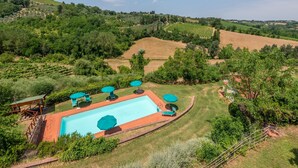 A swimming pool with lounge chairs and umbrellas, surrounded by a grassy area and vineyards. - "Volpe" Apartment with Pool Reserved for Guests, Wi-Fi, and Air Conditioning (San Gimignano)