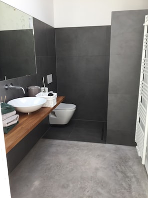 Regadera, secadora de cabello, toallas 