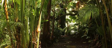 Chalet, 3 chambres, accessible aux personnes Ă mobilitĂ© rĂ©duite, fumeur | Terrain de lâhĂ©bergement