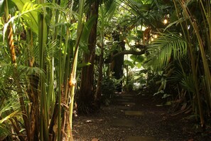 Un sendero estrecho rodeado de abundante vegetación tropical, que conduce a una estructura de madera.