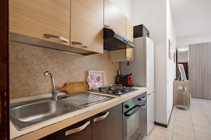 Fridge, oven, stovetop, cookware/dishes/utensils