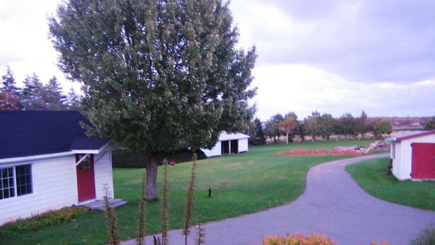 A residential area with a house, a small shed, and a tree. - Linden Homestead: Modern Queen Bed B&B suite in Century Farm House (Stanley Bridge)