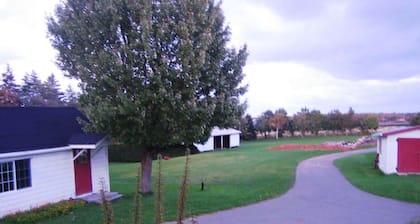 Linden Homestead: Modern Queen Bed B&B suite in Century Farm House