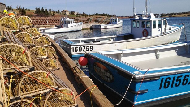 Ein Hafen mit mehreren dort vertäuten Booten, darunter ein blau-weißes Boot mit der Nummer 16156.