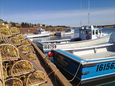 Linden Homestead: Modern Queen Bed B&B suite in Century Farm House