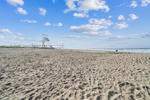 A sandy beach with footprints, a fence, and a single tree.