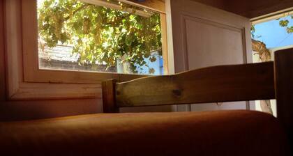 Hipólito Raíz Hostel