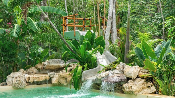 Ein natürlicher Pool mit Wasserfall, umgeben von üppiger tropischer Vegetation und Felsen.