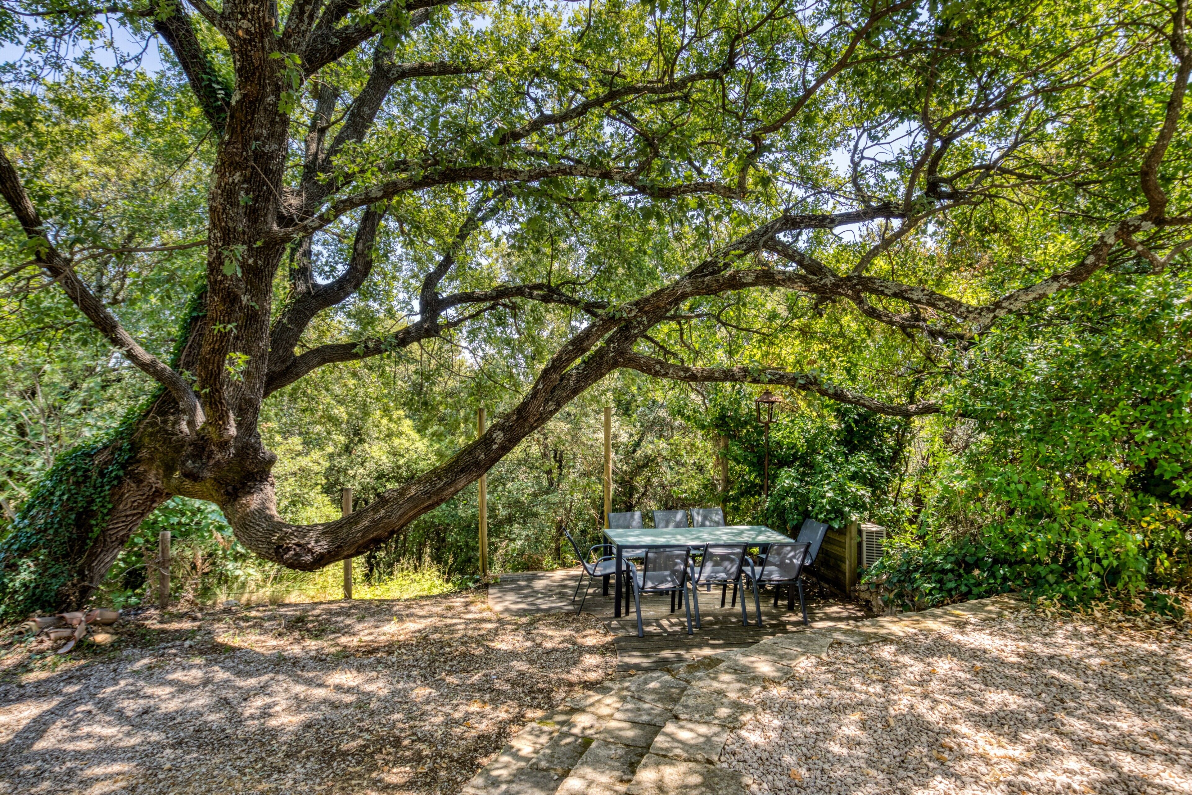 A dining table set outdoors with chairs, surrounded by trees and a gravel path.
