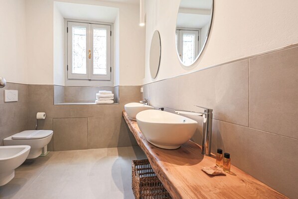 Shower, hair dryer, bidet, towels