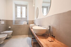 Shower, hair dryer, bidet, towels