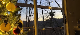 Cozy 1-bedroom cottage for Hiking, Waterfalls & WNC Adventures!