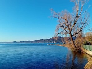 A calm lake with a clear sky, a leafless tree, and a distant shoreline with buildings. - Lesa Villas (Lesa)