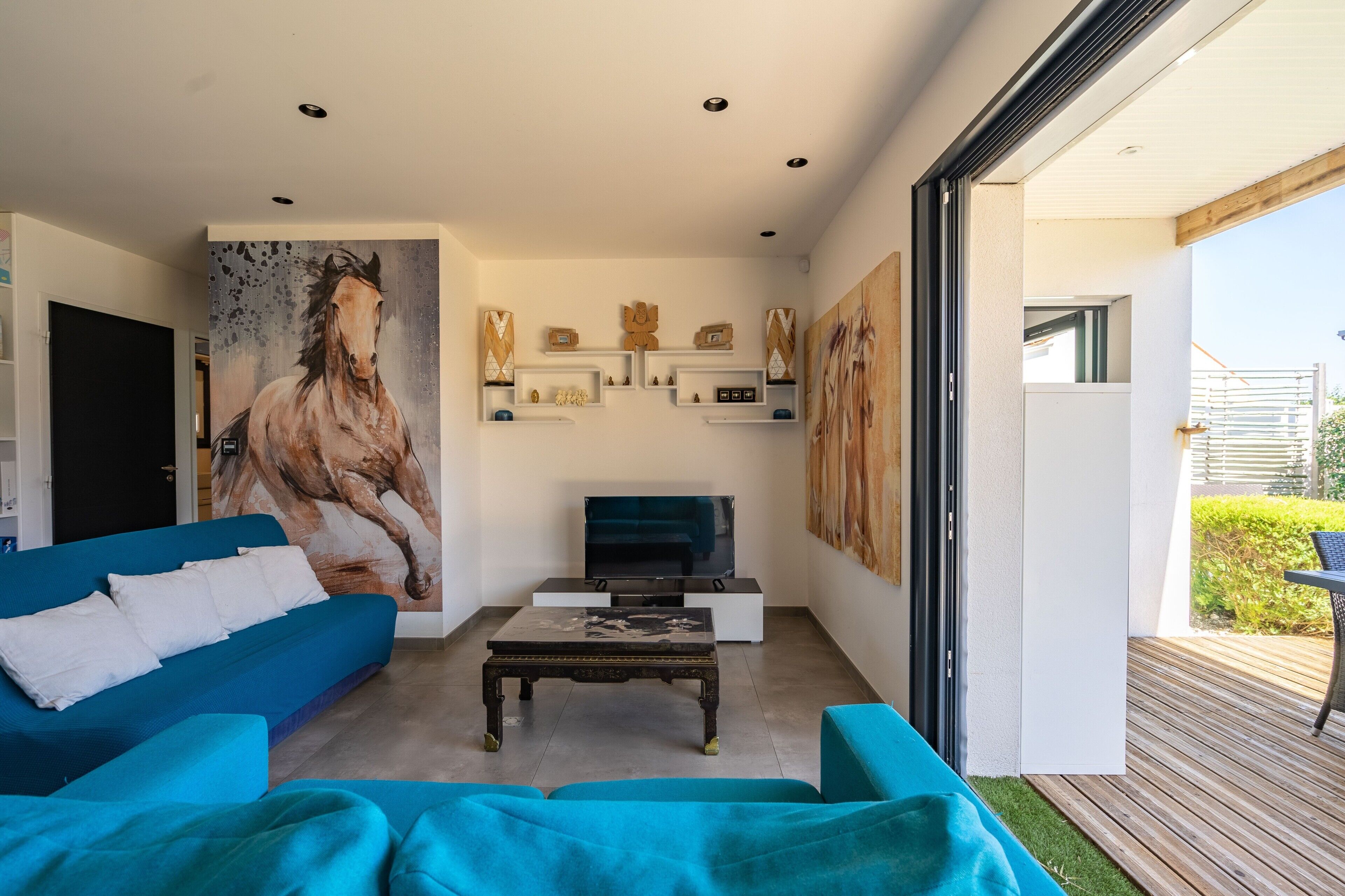 電視、DVD 播放機