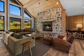 Smart TV, fireplace, books