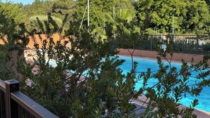 Ein Pool, umgeben von üppiger Vegetation und wolkenlosem, blauem Himmel.