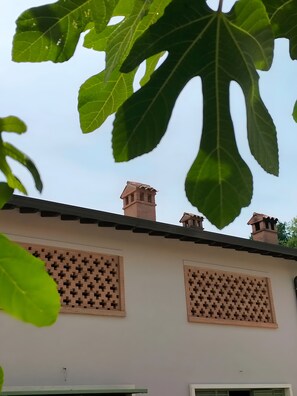 DĂ©tail de lâextĂ©rieur