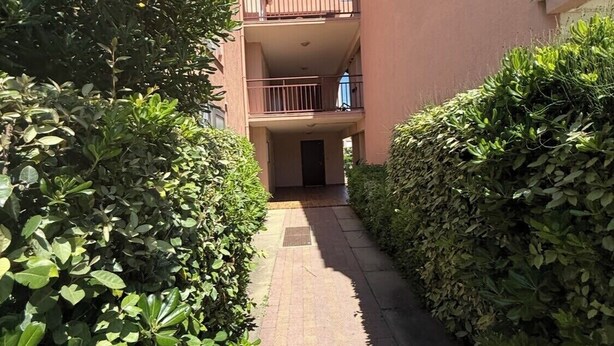 A narrow pathway flanked by dense green hedges leading to a building with a pink facade and a visible balcony.