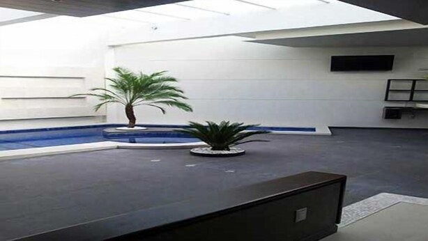 A modern lobby with a pool, two palm trees, and a flat-screen TV mounted on the wall. - Hotel Teocalli Tula (Tula de Allende)