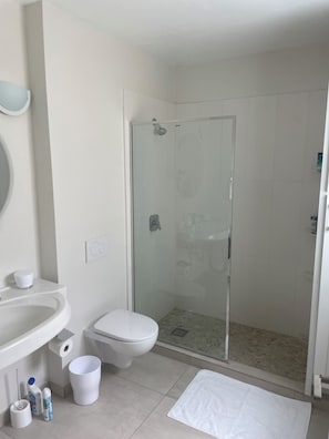 Shower, towels, soap, toilet paper