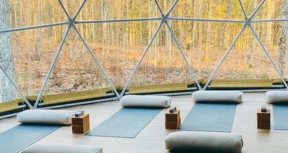 Nature’s Channel at Dimensions | Cabin Twelve