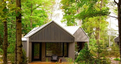 Nourish + Reset at Dimensions | Cabin Ten
