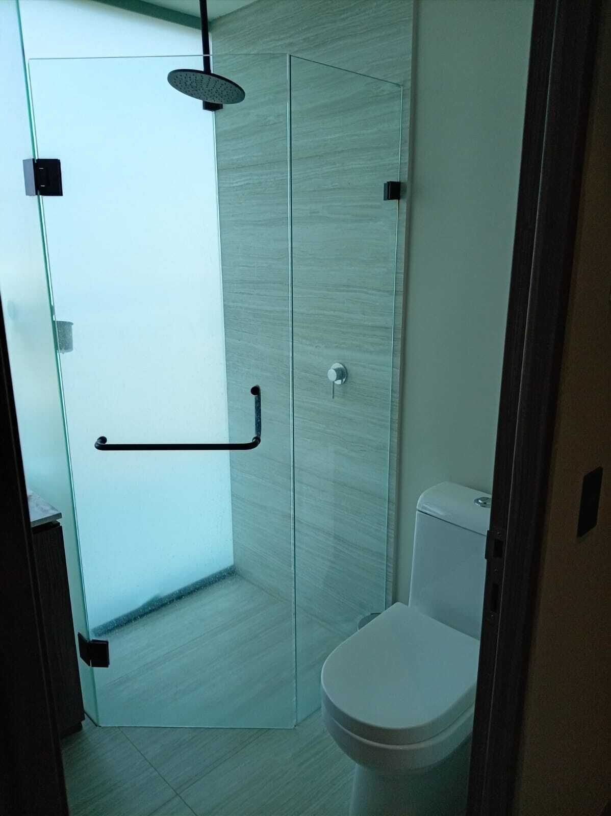 A glass-enclosed shower with a handheld showerhead, a toilet, and a door with a handle.