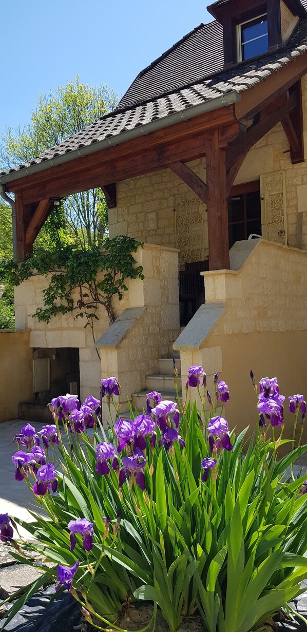 Terrein van de accommodatie