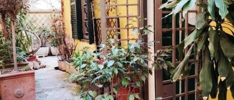 Detalle exterior