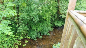A wooden bridge over a clear stream surrounded by dense green foliage. - The Old Creamery (Llandeilo)