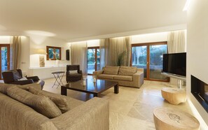 Télévision, cheminée, jeux vidéo, lecteur de DVD