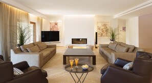 TV, fireplace, video games, DVD player