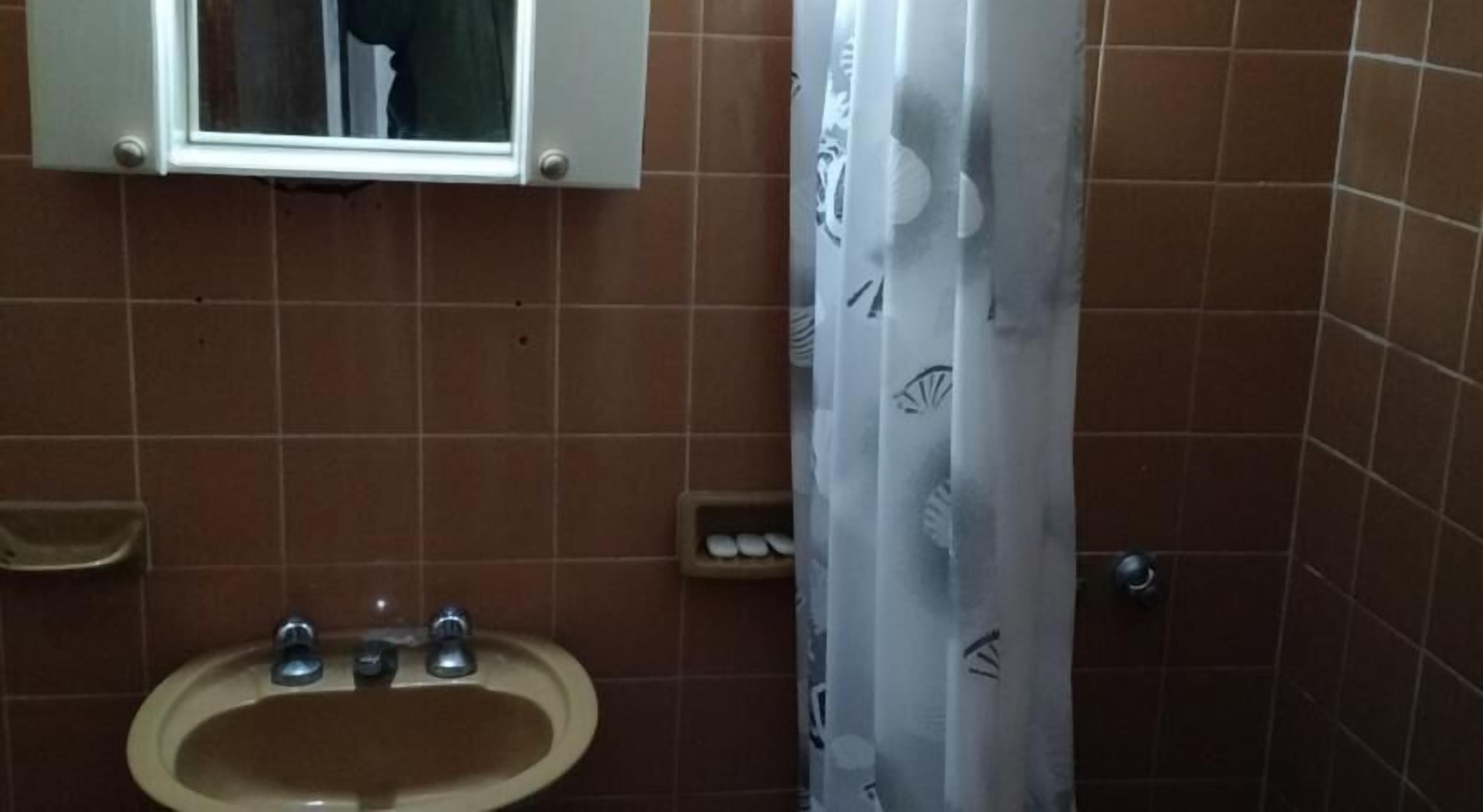 Un baño con lavamanos, espejo y cortina de ducha.
