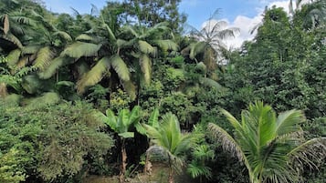 Basic Bungalow, Balcony, Garden View | Free WiFi