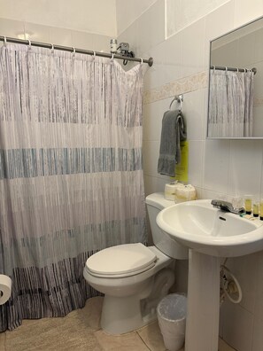 Hair dryer, towels, soap, toilet paper