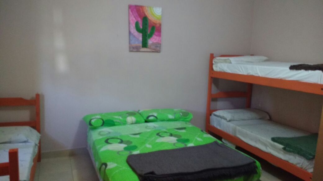 A room with bunk beds, a green bedspread, a cactus painting on the wall, and a small wooden chair.