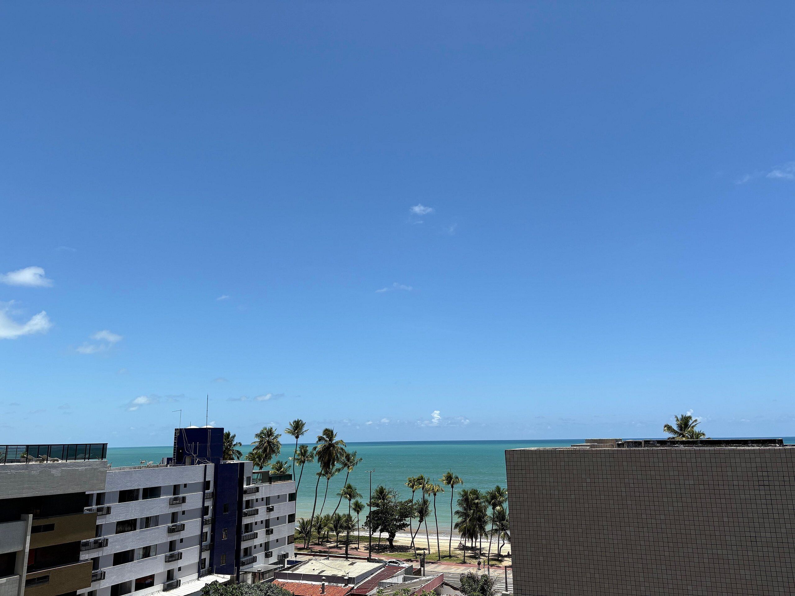 A coastal cityscape with buildings, palm trees, and a beach.