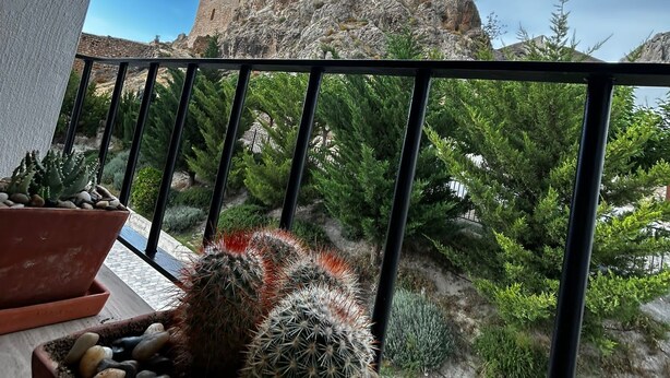 Ein Balkon mit Kakteen in Töpfen und Blick auf eine historische Steinburg.