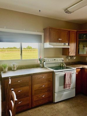 Kylskåp, mikrovågsugn, ugn och spishäll