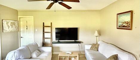 Smart TV, fireplace
