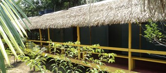 Pousada de Selva Jacaré