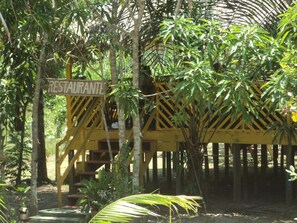 Property grounds - Pousada de Selva Jacaré (Manaus)