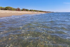 Ranta