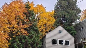 A small, single-story building with a garage, surrounded by autumn foliage and a staircase leading to the entrance.