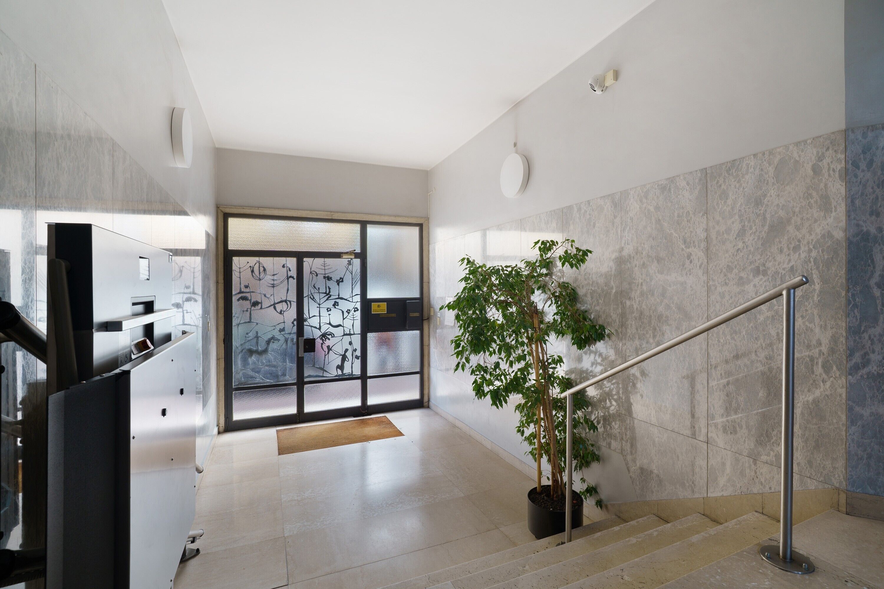 A modern interior with a staircase, a potted plant, and a glass door leading to another room.