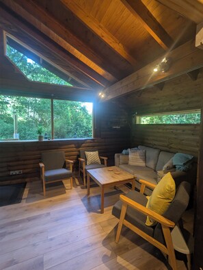 Smart TV, fireplace, ping pong, books