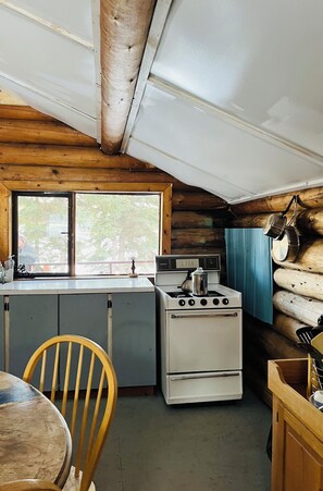 Private kitchen - Nadina Mountian Wilderness Lodge - Off Grid Wilderness Retreat (Houston)