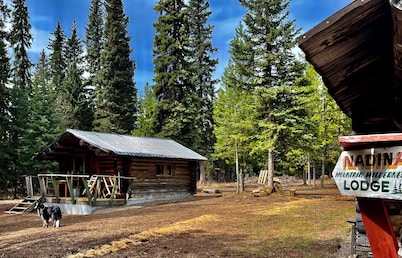 Nadina Mountian Wilderness Lodge - Off Grid Wilderness Retreat