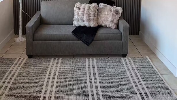 A modern living room with a grey sofa, two fluffy pillows, a bear-themed artwork, a tall plant, and a patterned rug. - Bear cave! (Tucson)